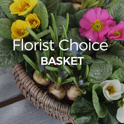 Florist Choice Basket